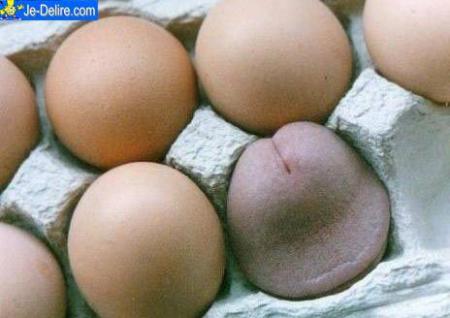 les oeufs